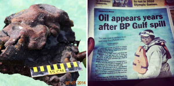 Left, oil found Thursday, February 27, 2014 on North Florida beach. Right, article in Pensacola News Journal about that discovery, which totaled over 1,250 pounds of BP oil. This, nearly four years after the disaster.