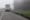 A white semi-truck parked on the side of a highway in foggy weather.