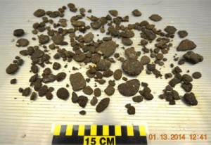 January 13, 2014 BP Oil - SRB Sample