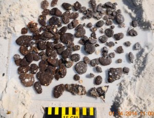 January 14, 2014 BP Oil - SRB Sample B