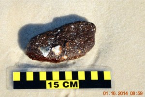 January 16, 2014 BP Oil - SRP Sample B